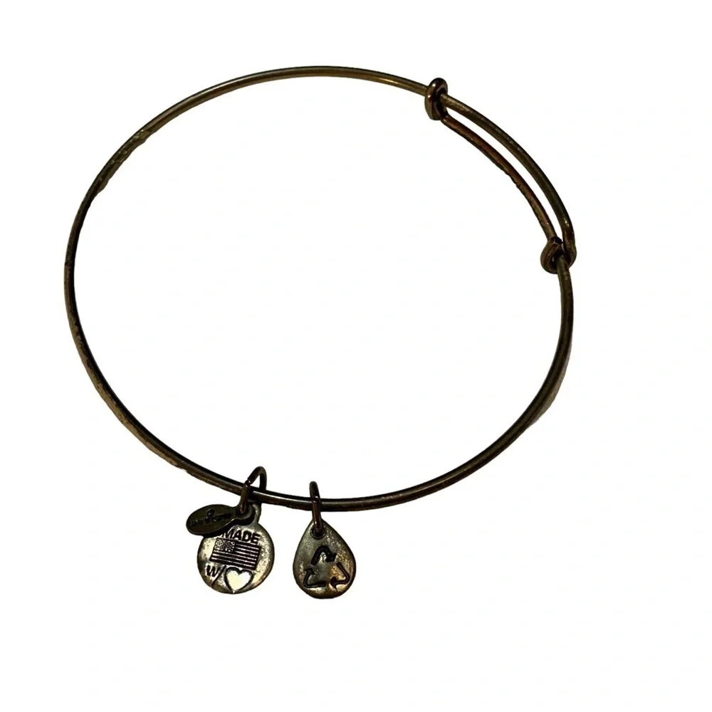 Alex & Ani Bangle Bracelet Set